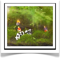 Miniature Gardens For Condos And Homes in Austin